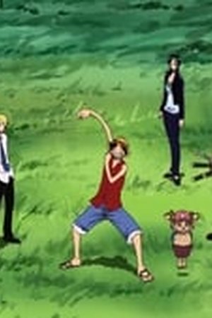 One Piece Season 7 Episode 209 - Poster