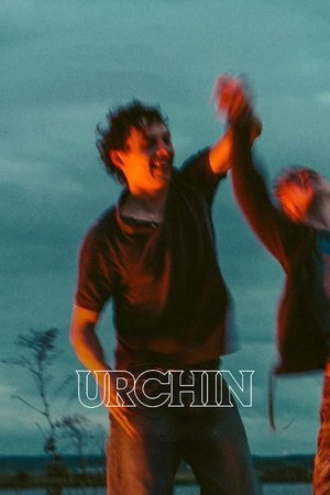 Urchin ( 2025 ) - Poster